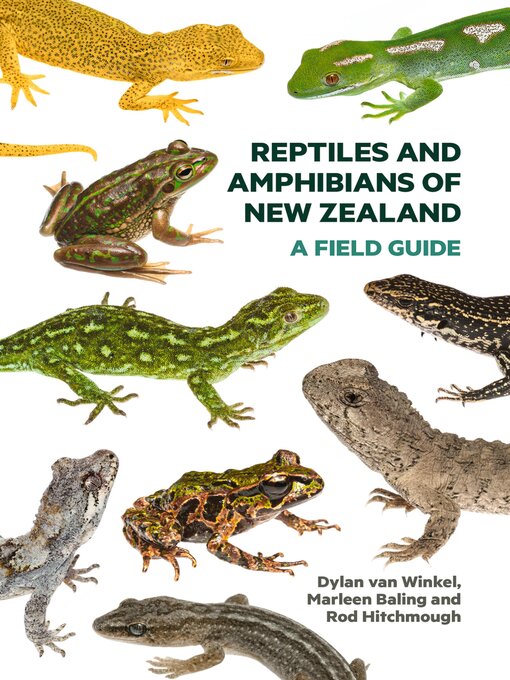 Cover image for Reptiles and Amphibians of New Zealand